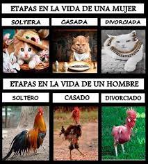 Pin En Chistes