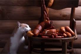 Can i give sausage to my cat then? Is Pork Healthy For Cats To Eat Bacon Sausages Ham Mince