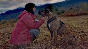La tique attaque/qui a enlevé le chien de traineau/le fauteuil. Elisa Pilarski Tuee Par Des Chiens Dans L Aisne Le Drame Reste Un Mystere Deux Mois Apres