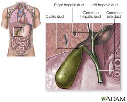 After either type of surgery, a dressing or adhesive strips will be applied to your sutured incisions. Gallbladder Removal Laparoscopic Discharge Information Mount Sinai New York
