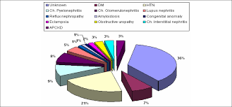If a person is in otherwise good health, they might recover average kidney function. View Image
