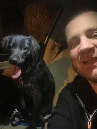 What are the black roosters doing near Roxbury PD?