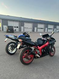 Image result for Viola Malva 1999 Motorcycle