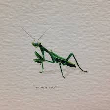 Maybe you would like to learn more about one of these? 365 Postcards For Ants Day 114 Praying Mantis 27 X 23 Mm Praying Mantis Mantis Tattoo Insect Drawing Realistic