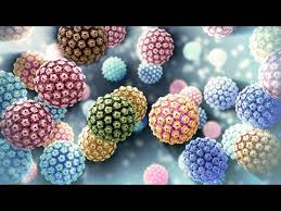Hpv is not a new virus. Human Papillomavirus Hpv Nucleus Health Youtube