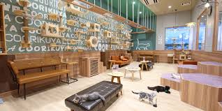 Image result for カフェ
