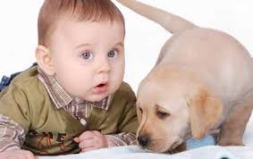 A Guide for Families Bringing Children Home to Pets