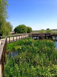 Marais D Orx 2015 Labenne Landes Reserve Naturelle Tourisme Landes Landes Tourisme