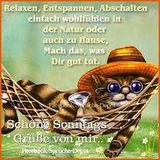 Sonntags Gruss Sonntagsgrusse Guten Morgen Nachricht Guten Morgen Lustig