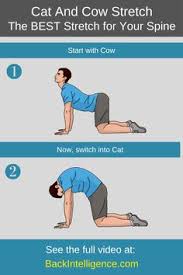 This video focusses on the cat and cow poses, these stretches improve flexibility in your spine and shoulders as well as. Cat And Cow Stretch For Back Pain