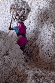 The cotton supply chain is broken. Will brands agree to fix it? | Vogue  Business