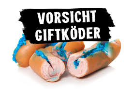 Ich habe mal 1 jahr in köln gewohnt, da hatte ich ein ähnliches problem. Vorsicht Giftkoder Tierschutzverein Fur Den Kreis Duren E V