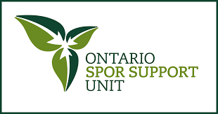 Galatasaray, fenerbahçe, beşiktaş ve tüm takımların son dakika transfer haberleri mynet'te. What Is Spor Ontario Spor Support Unit