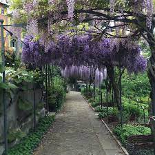 Botanical Garden Of Trieste Trieste Beautiful Scenery Pictures Botanical Gardens Near Me