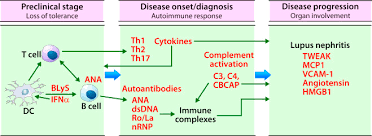 You just have to download the file from our website, extract it(if it's a zip file) into your. Biomarkers In Connective Tissue Diseases Journal Of Allergy And Clinical Immunology