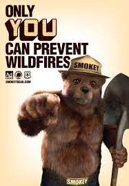 Content Wildfire Prevention Lessons From Smokey The Bear Smokey The Bears Bear Pictures Bear