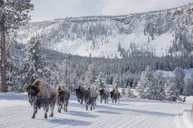 As of the 2010 census it had a population of 2,308. Why Big Sky Should Be At The Top Of Your Bucket List