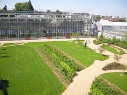 Jardin Botanique De La Ville Et De L Universite De Tours Comite Des Parcs Et Jardins De France