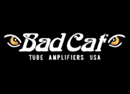 I play a drri as my pedal platform setup but have been considering trying out these style amps for going to and from rehearsal. User Reviews Bad Cat Tube Combo Guitar Amps Audiofanzine