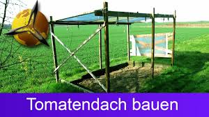 Da tomatenpflanzen sehr empfindlich auf umwelteinflüsse in form von kälte sowie niederschlägen reagieren, ist es ratsam sie in einem gekauften glashaus aufzuziehen. Tomatendach Regenschutz Fur Tomaten Selber Bauen Youtube
