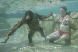 Aquatic Ape Hypothesis Sasquatch Chronicles