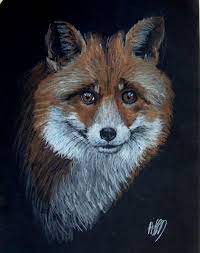 Fox Colour Pencil On Black Paper Black Paper Drawing Color Pencil Art Black Paper