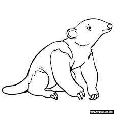 Top 25 free printable wild animals coloring pages online. Jungle Animals Online Coloring Pages
