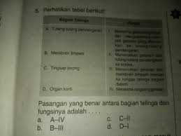Soal dan pembahasan sistem indra manusia untuk smp. Pasangan Yang Benar Antara Bagian Telinga Dan Fungsinya Adalah Brainly Co Id