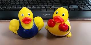 Many other terms exist for this technique, often involving different (usually) inanimate objects, or pets such. Rubber Ducky Debugging Dev Community