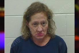 Shelly Mann — Bulloch County Jail Bookings