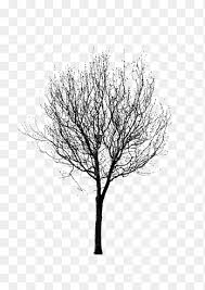 Only 2 available and it's in 5 people's carts. Black And White Tree Png Images Pngegg