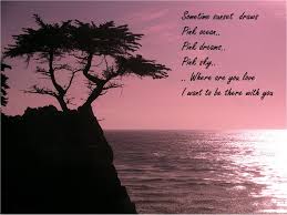Romantic Ocean Quotes Quotesgram