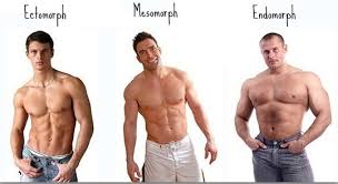 Endomorph female before and after. My Body Type Is Endomorph In What Way Do I Lose Fat In My Body And Build Muscles Quora