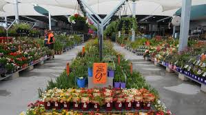 Mitre 10 easy as guides for gardening diy. First Look Inside Wa S Latest Biggest Bunnings Store Which Features National Firsts The West Australian
