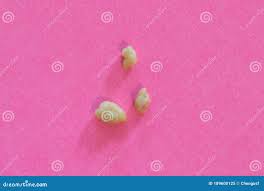 Image result for Tonsillolith