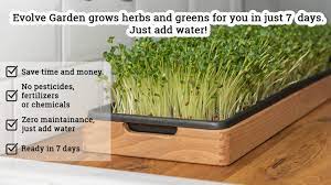 Evolve Garden Easily Grow Microgreens At Home In 7 Days By Goran Kickstarter Growing Microgreens At Home Microgreens Grow Microgreens