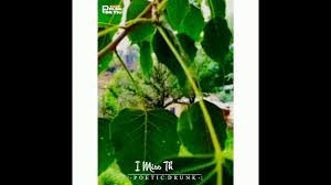 Check spelling or type a new query. Ik Vaari Aaja With Broken Rainy Lyrical Quote Alone In Rain Emotional Rainy Status Neha Kakar Youtube