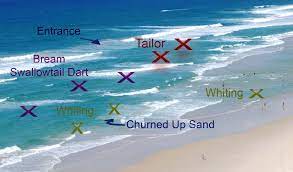 Access Denied Surf Fishing Rigs Surf Fishing Beach Fishing