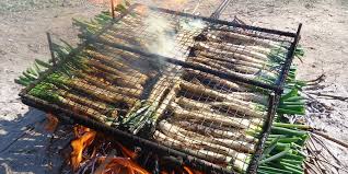 Have you heard about the famous Catalan “Calçotada”?