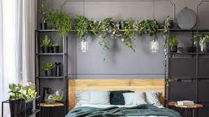 Sie ist so persönlich wie die wahl deiner kosmetik. Pflanzen Im Schlafzimmer 13 Gute Grunde Schoner Wohnen