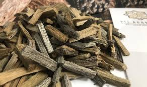 Contextual translation of kayu gaharu into english. Industri Gaharu Boleh Dikembangkan Celik Wang