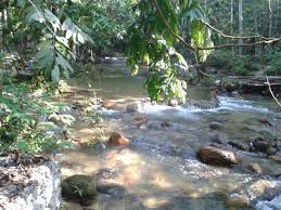 Check spelling or type a new query. Tempat Pelancongan Paling Menarik Di Selangor Explorasa