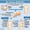 Gripe aviaria la gripe aviaria o gripe aviar recomienda la primera forma también llamada técnicamente influenza aviar, y comúnmente gripe del pollo y. 1
