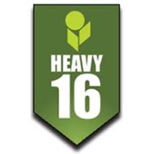 Heavy 16 Nutrient Review Dude Grows