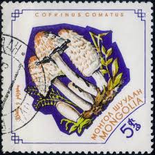 How much is a postage stamp 2020? How Much Was A Postage Stamp In 2020 Lyrics Vatriciacedgar