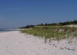 Great dunes and truro beach loop is a 3.6 mile lightly trafficked loop trail located near truro, massachusetts that features a great forest setting and is good for all skill levels. Cz Tip Dune Building With Beachgrass Mass Gov
