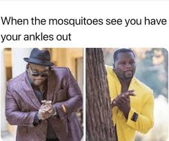 When The Mosquitoes See You Have Your Ankles Out Spiceadams You Meme On Me Me