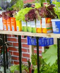 Comment Planter Des Salades En Pot Planter Salade Comment Planter Potager