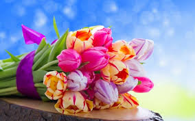 Un mazzo di gigli è la scelta. Fiori Dell Amicizia Significato Fiori