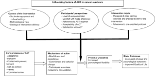 The primary act goal is to help patients develop the psychological flexibility to cope with challenges. Acceptance And Commitment Therapy In Adult Cancer Survivors A Systematic Review And Conceptual Model Springerlink